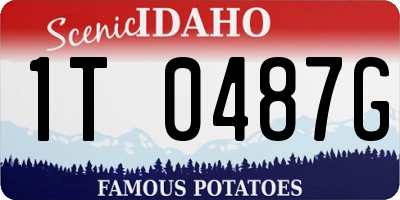 ID license plate 1T0487G