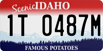 ID license plate 1T0487M