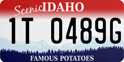 ID license plate 1T0489G