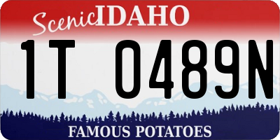 ID license plate 1T0489N