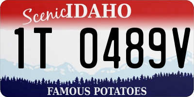 ID license plate 1T0489V