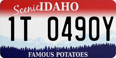 ID license plate 1T0490Y