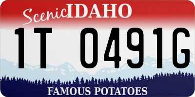ID license plate 1T0491G