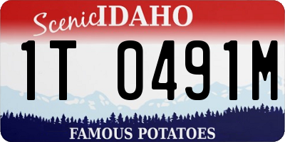 ID license plate 1T0491M