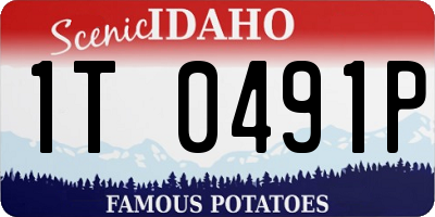 ID license plate 1T0491P