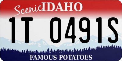 ID license plate 1T0491S