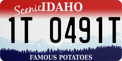 ID license plate 1T0491T