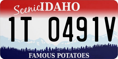 ID license plate 1T0491V