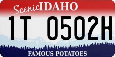 ID license plate 1T0502H