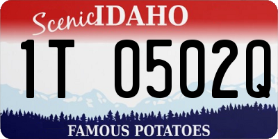 ID license plate 1T0502Q
