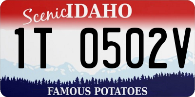 ID license plate 1T0502V