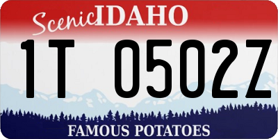 ID license plate 1T0502Z
