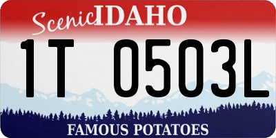 ID license plate 1T0503L