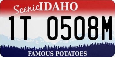 ID license plate 1T0508M