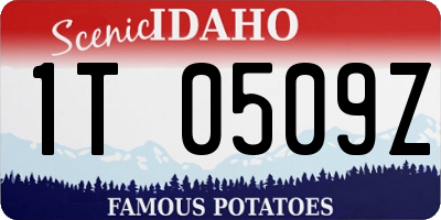ID license plate 1T0509Z