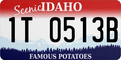 ID license plate 1T0513B