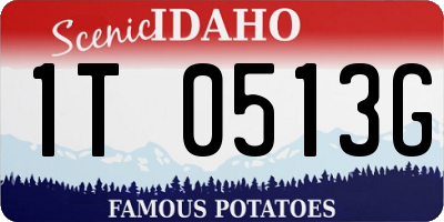 ID license plate 1T0513G