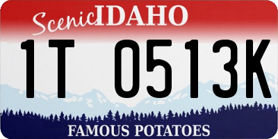 ID license plate 1T0513K