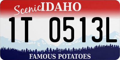 ID license plate 1T0513L