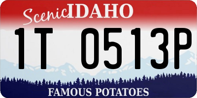 ID license plate 1T0513P