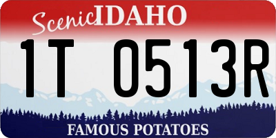 ID license plate 1T0513R