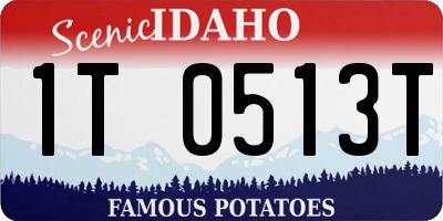 ID license plate 1T0513T