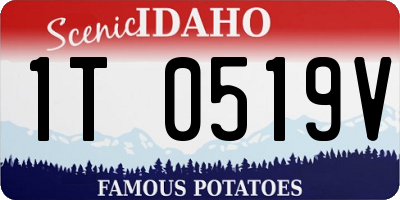 ID license plate 1T0519V