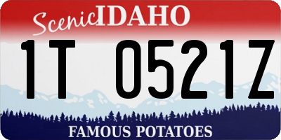 ID license plate 1T0521Z