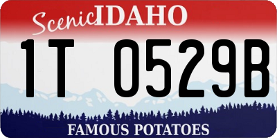 ID license plate 1T0529B