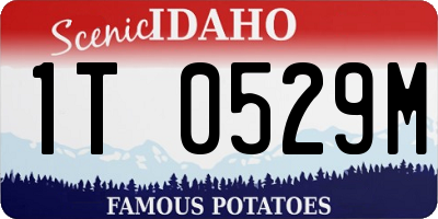 ID license plate 1T0529M