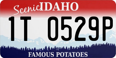 ID license plate 1T0529P