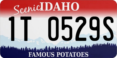 ID license plate 1T0529S