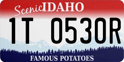 ID license plate 1T0530R