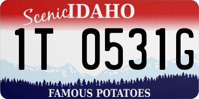 ID license plate 1T0531G