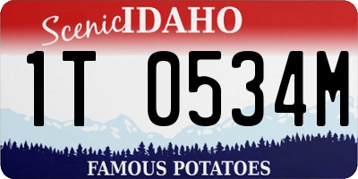ID license plate 1T0534M