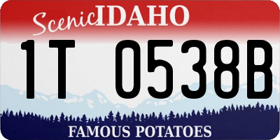 ID license plate 1T0538B