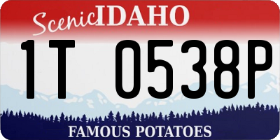 ID license plate 1T0538P