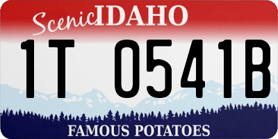 ID license plate 1T0541B