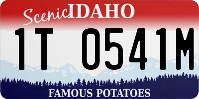 ID license plate 1T0541M