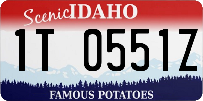 ID license plate 1T0551Z