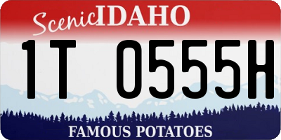 ID license plate 1T0555H