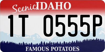 ID license plate 1T0555P