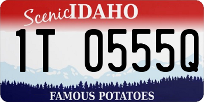ID license plate 1T0555Q