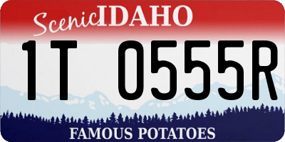 ID license plate 1T0555R