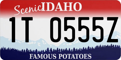 ID license plate 1T0555Z