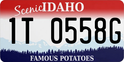 ID license plate 1T0558G