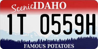 ID license plate 1T0559H