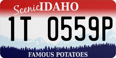 ID license plate 1T0559P
