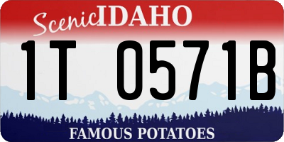ID license plate 1T0571B