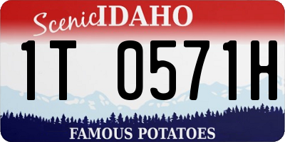 ID license plate 1T0571H